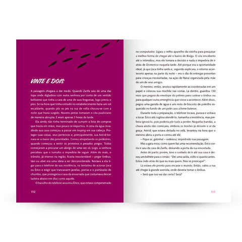 Livro Jovens Chefs - O Incrível Destino dos Irmãos Portoluna