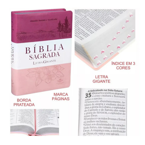 Bíblia Sagrada Letra Gigante Pink - Almeida Revista E Atualizada - PT-BR