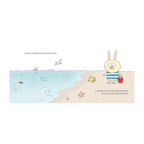 Livro - Bibo na Praia - Silvana Rando - Capa Dura - PT-BR