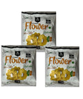 Gourmet Flower Cebola e Salsa 3X35G - MEUBRASILONLINE
