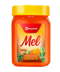 Mel Florada Eucalipto Minamel 500g - MEUBRASILONLINE