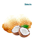 Base para Sorvete Caseiro Selecta Coco Queimado 100g