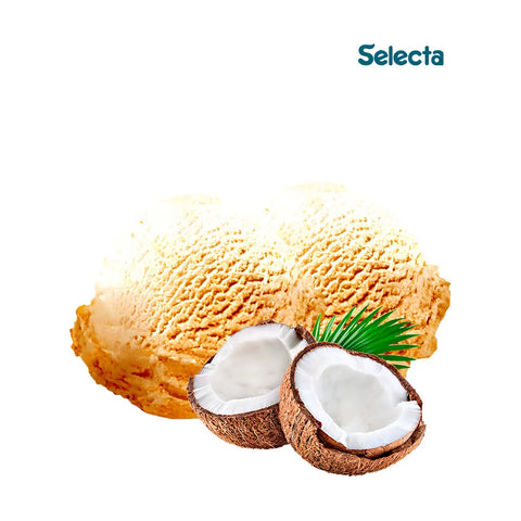 Base para Sorvete Caseiro Selecta Coco Queimado 100g