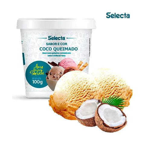 Base para Sorvete Caseiro Selecta Coco Queimado 100g
